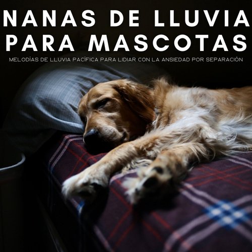 Gatos Somnolientos cover art