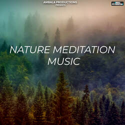 Nature Meditation Music-HDxeCBEIYmY