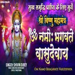 Om Namo Bhagavate Vasudevaya