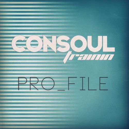 Pro_File (Remixes)