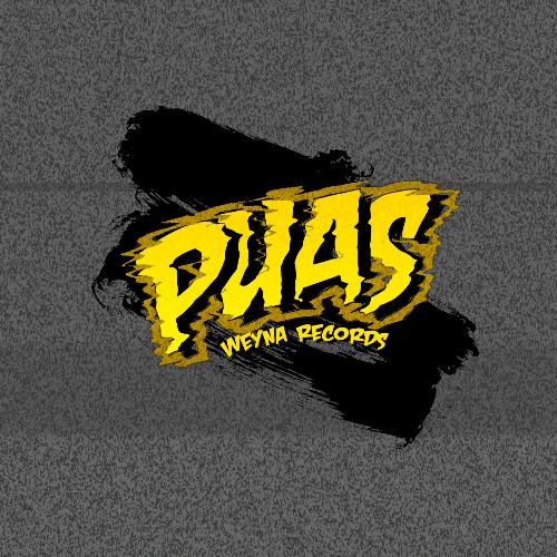 Puas_poster_image