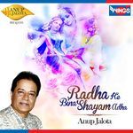 Radha Ke Bina Shayam Adha