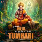Sharan Mein Aaye Hain Hum Tumhari