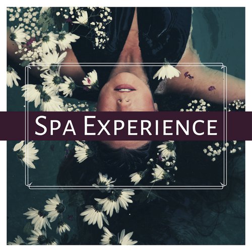 Spa Experience cover art