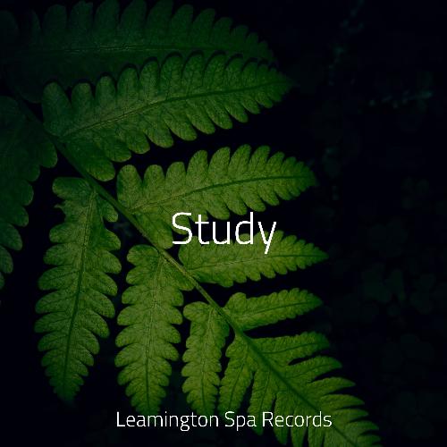 Study