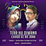 TERA HU DIWANA CHHOD KE NA JANA