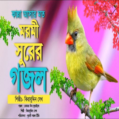 Tomar Din Furaile Sondhya Hoile