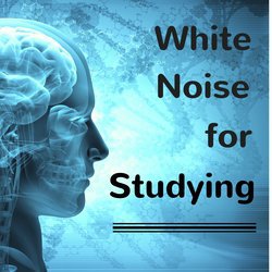 White Noise for Studying
