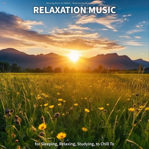 Vinyasa cover art