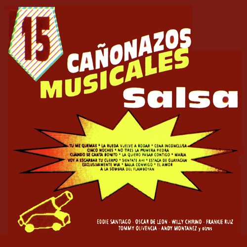 15 Canonazos Musicales Con Salsa_poster_image