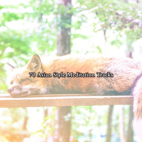 70 Asian Style Meditation Tracks