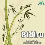 Bidiru