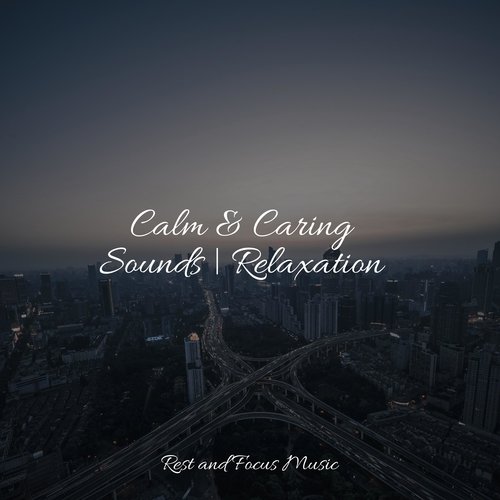 Calm & Caring Sounds | Relaxation