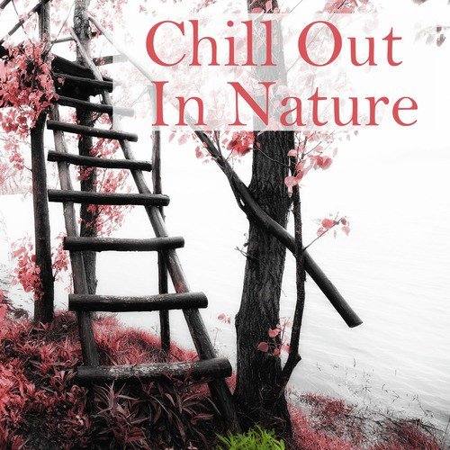 Chill Out in Nature: The Most Relaxing Playlist for Your Mind_poster_image