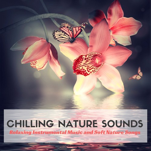 Chilling Nature Sounds - Relaxing Instrumental Music and Soft Nature Songs