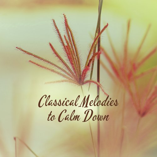 Classical Melodies to Calm Down – Soft Piano Music, Best Piano Sounds, Relax Your Brain