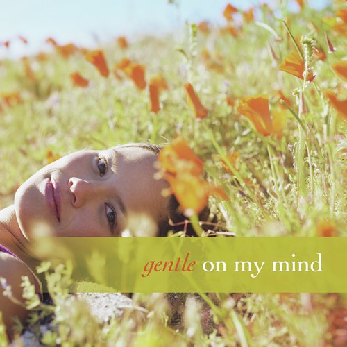 Gentle On My Mind_poster_image