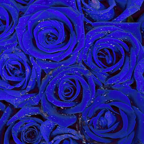 HEAVY EMOTIONS cover art