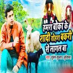 Hamara Boka Ke Shadi Tohara Bakri Se Lagal Ba