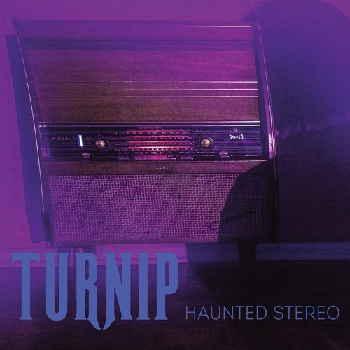 Haunted Stereo_poster_image