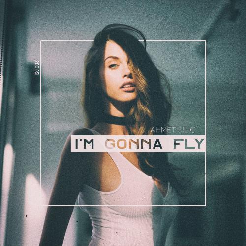 I'm Gonna Fly_poster_image