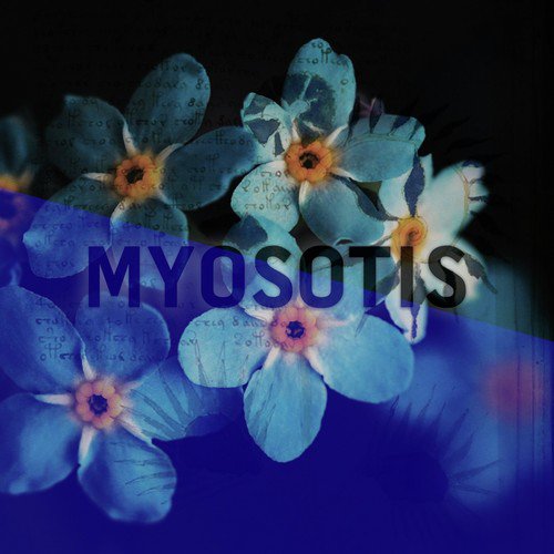 Myosotis (Christmas Algorithm Mix) cover art