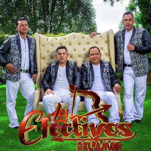 No Me Dolio Tu adios.los Efectivos Del Amor cover art