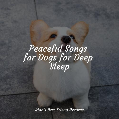 Meditating Music cover art