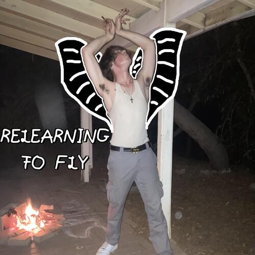 RELEARNING TO FLY COMPLETE cover art