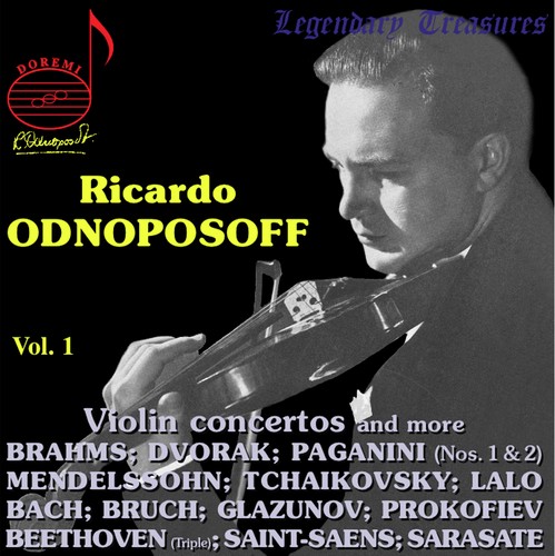 Violin Concerto in A Minor, Op. 53, B. 108: II. Adagio ma non troppo