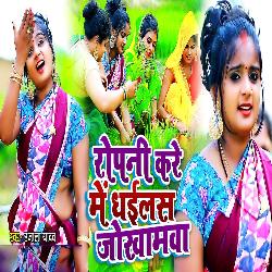 Ropani Kare Me Dhailas Jokhamwa