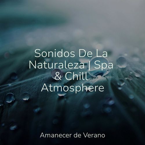 Sonidos De La Naturaleza | Spa & Chill Atmosphere