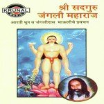 Sri Sadguru Jangli Maharaj (Dhun)