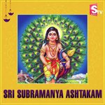 Sri Subramanya Ashtakam