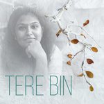 Tere Bin Kaise Jiyaan