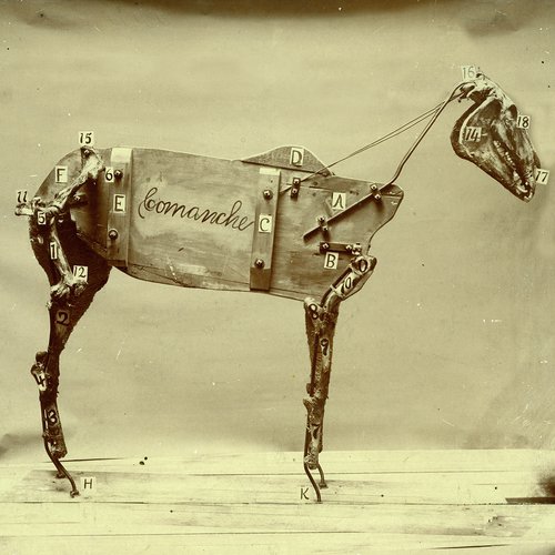 Walter (First Hello) cover art