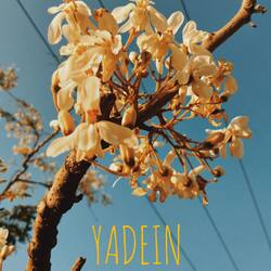 Yadein-JAkSZEFmYV4