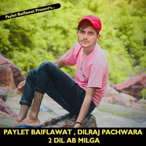 2 DIL AB MILGA