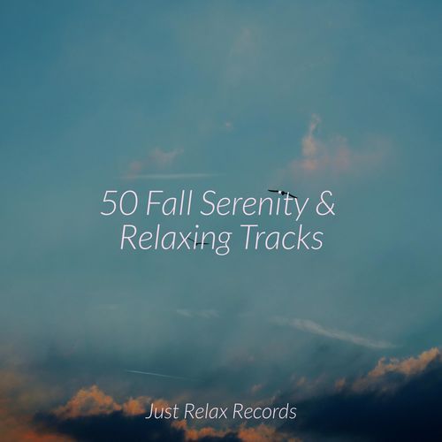 50 Fall Serenity & Relaxing Tracks