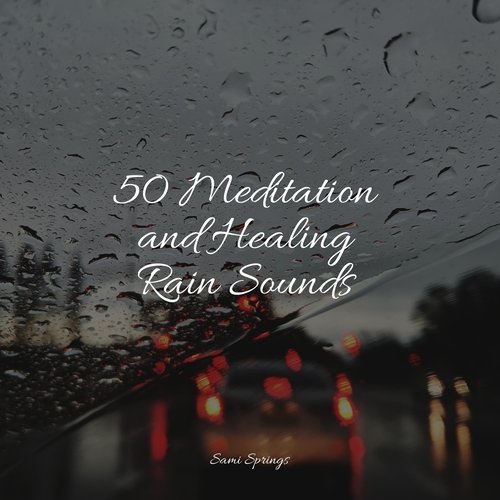 50 Meditation and Healing Rain Sounds_poster_image