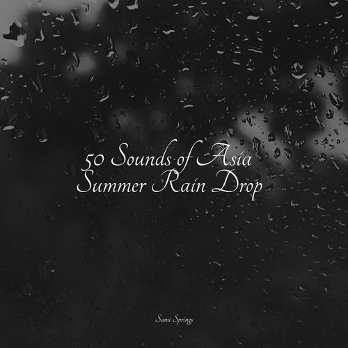 50 Sounds of Asia Summer Rain Drop_poster_image