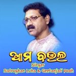 Aam Baula