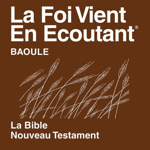 Baoulé Nouveau Testament (non-dramatisé) - Baoule Bible