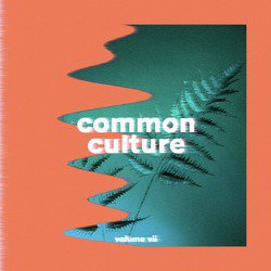 Common Culture, Vol. VII