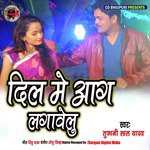 Dil Me Aag Lagavelu - Single