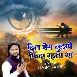 Dil Mera Tujhpe Fida Rehta Tha