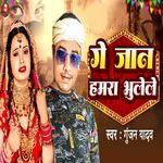 Ge Jan Hamra Bhulele