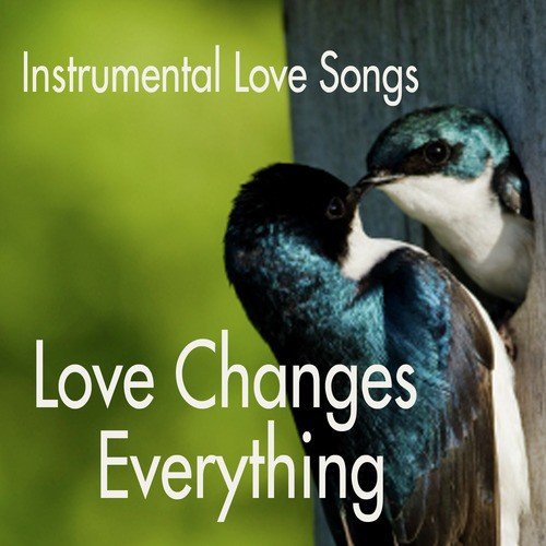 Instrumental Love Songs - Love Changes Everything - Love Songs