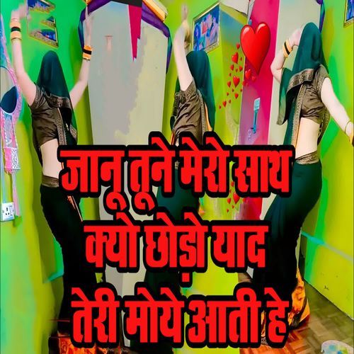 Jaanu Tune Mero Sath Kyu Chhodho Yaad Teri Moye Aati Hai