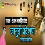 Janudi Pardesan Mena Mati Bol